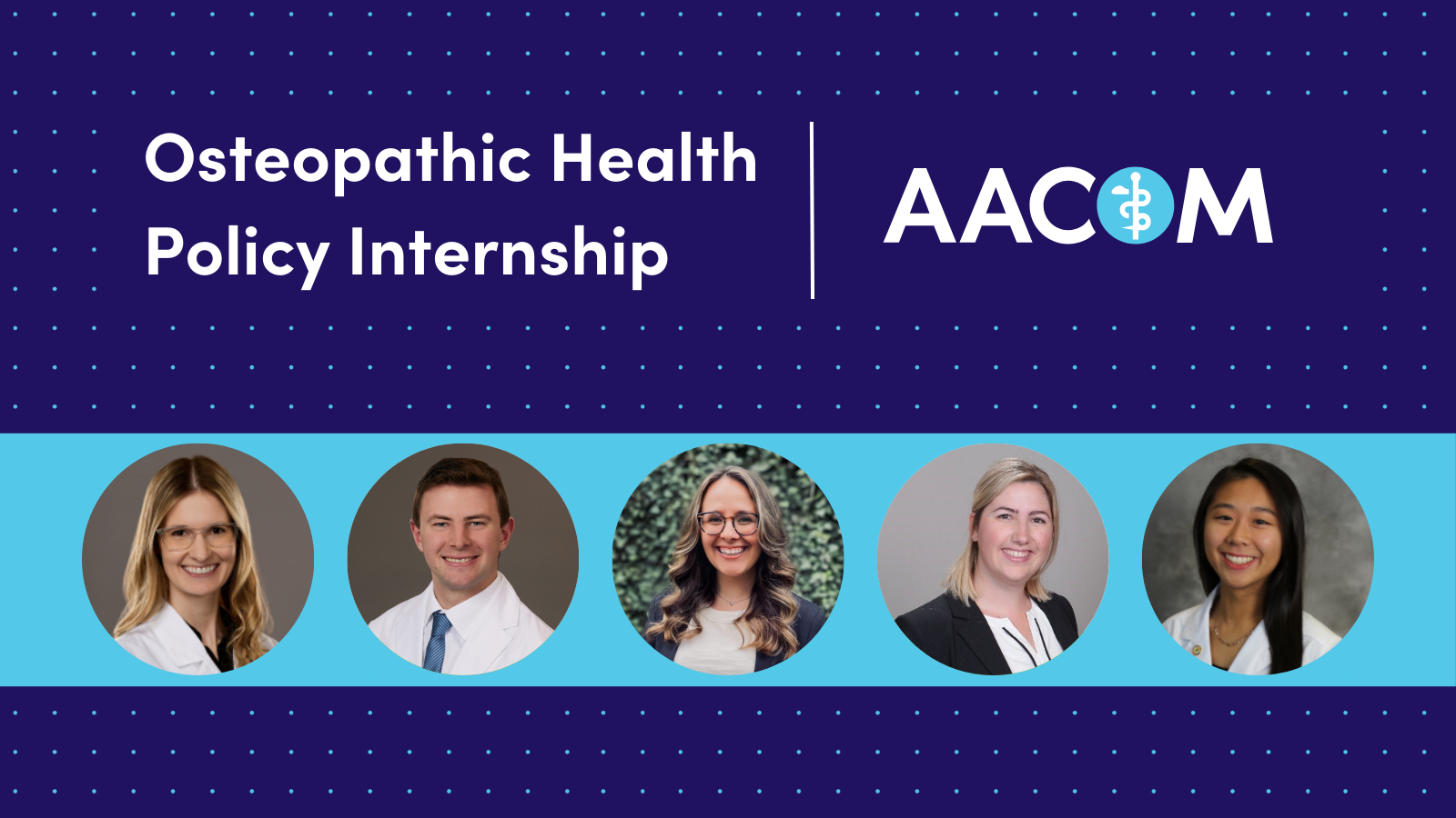 past osteopathic health policy interns