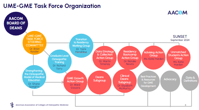 UME GME Task Force Steering Committee has 3 focus areas, 6 Action Groups and 3 subgroups