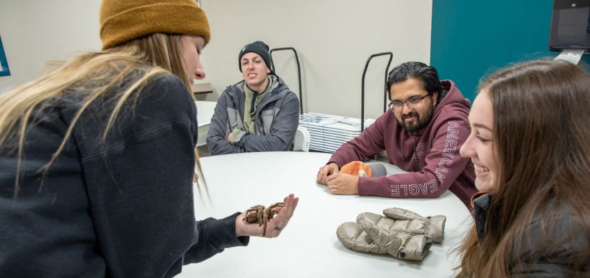 A group of students sits around a table, engaged as one of them holds a small tarantula in their hands.