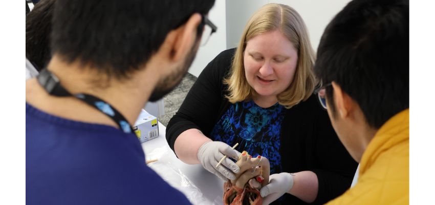 A woman demonstrates a medical model to students during a hands-on learning session.