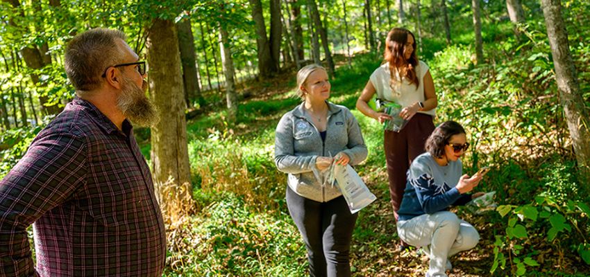 A group of people walk through a wooded area while observing plants, with one person taking notes or examining foliage closely.