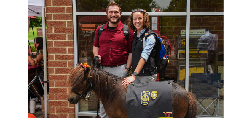 Two medical students stand behind Ringo the miniature horse