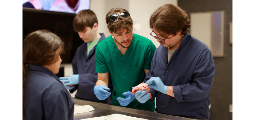 A group of medical students in a lab, with one student in a green scrubs and the others in dark blue lab coats, examining a specimen.