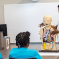 Aninstructordemonstratingamedicalmannequintoagroupofstudentsinaclassroom