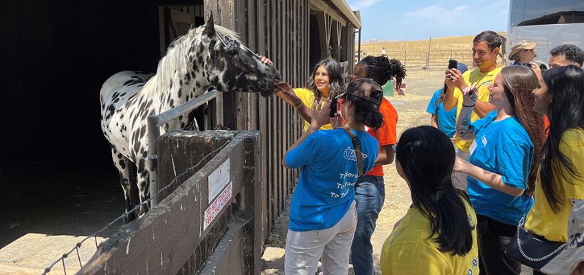Students interacting with a horse during an outdoor team-building activity.