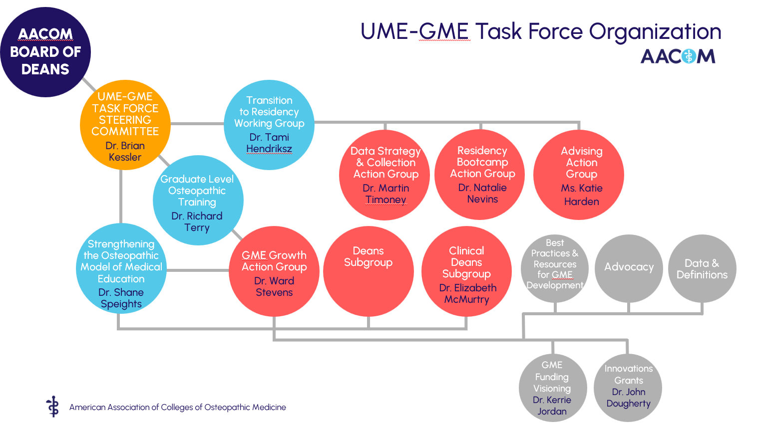 UME GME Task Force Steering Committee has 3 focus areas, 6 Action Groups and 3 subgroups